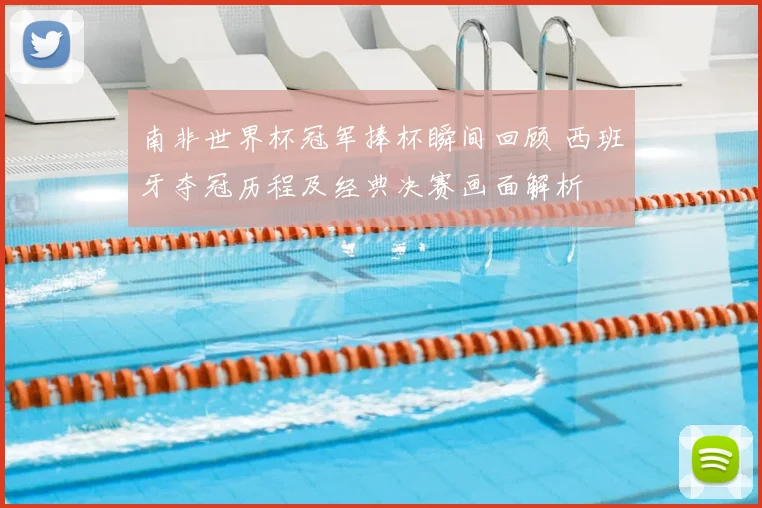 南非世界杯冠军捧杯瞬间回顾 西班牙夺冠历程及经典决赛画面解析