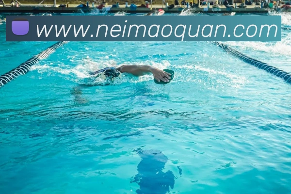 多媒体互动体验